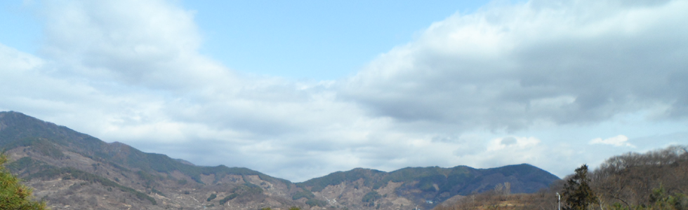 ������� ���� �ñ�